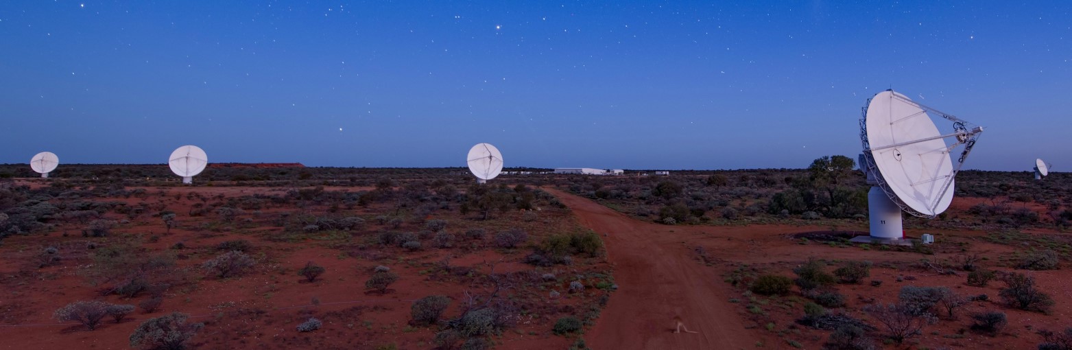 Landscape view of the ASKAP dishes across the horizon